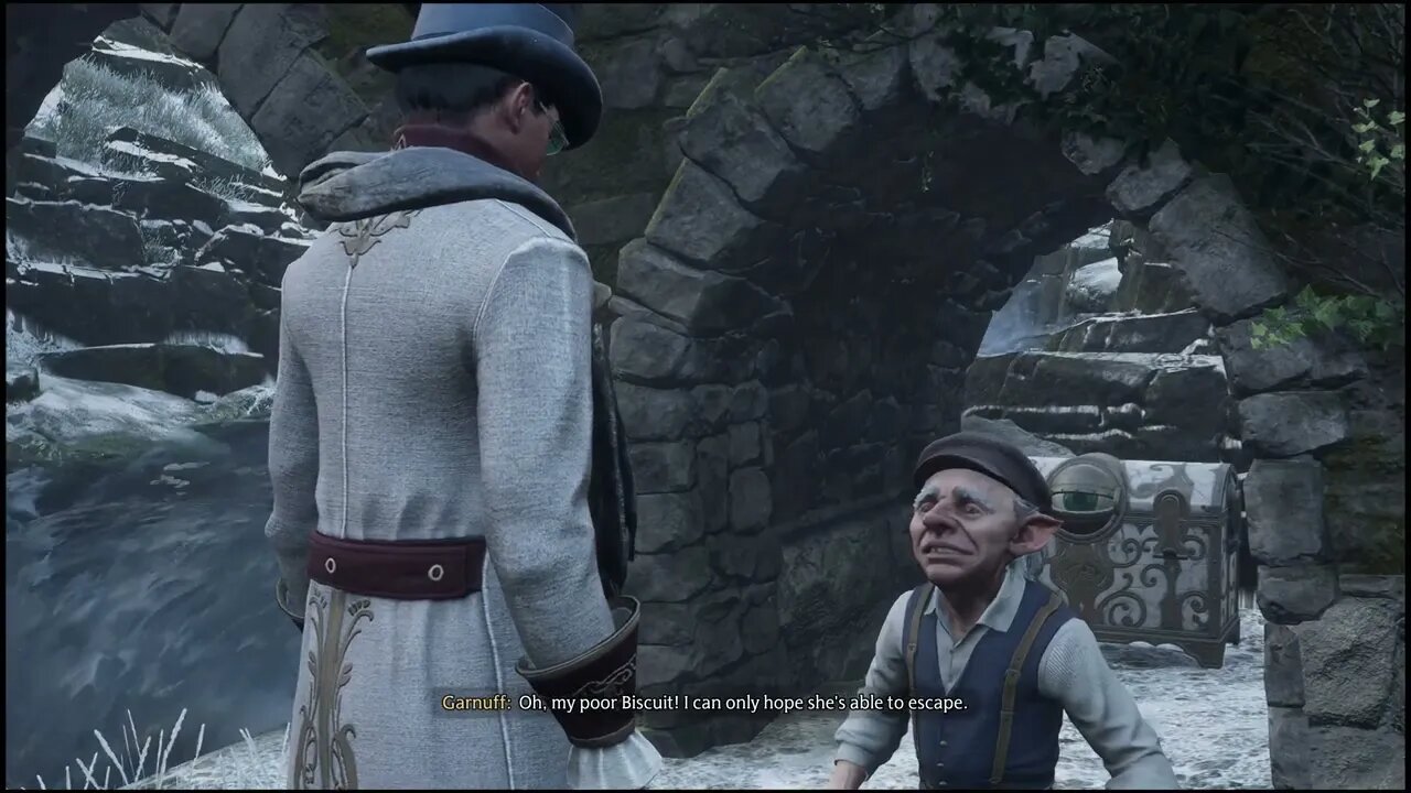 The Stink Eye - Hogwarts Legacy
