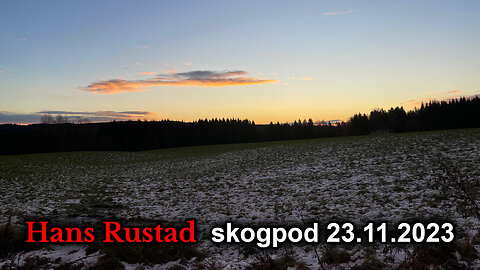 Skogpod 23. november 2023