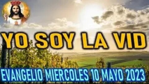 EL EVANGELIO DEL DÍA YO SOY LA VERDADERA VID MIERCOLES 10 MAYO 2023