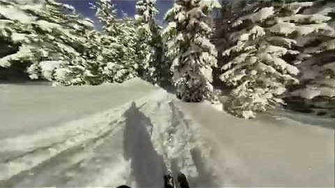 POV Vail Tree Well Scare