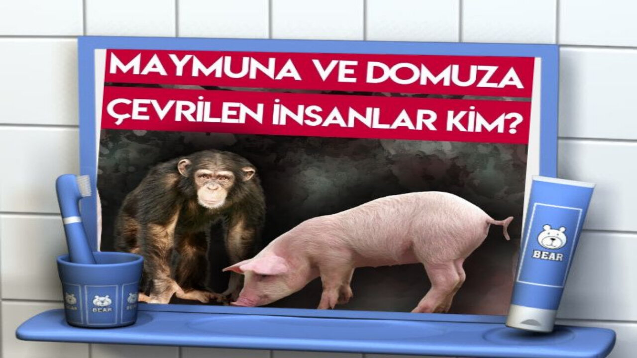 aidin saelih decelin ibliysin sıvısı zehiri aşılarhaplar insenları domuz ve maymuna dönüştürüyo uyan