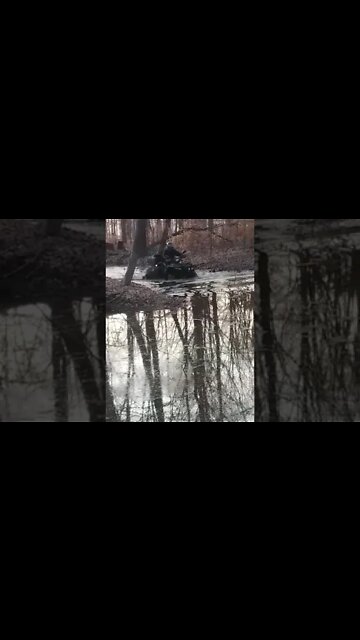 Suzuki Kingquad 750 AXI - DEEP WATER OFFROAD