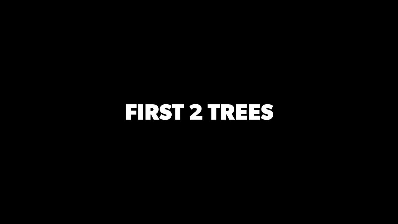 Cutting the first trees