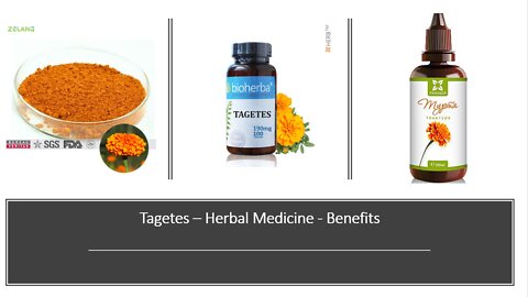 Tagetes - Herbal Medicine Benefits