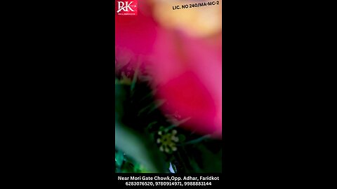 Uk study permit