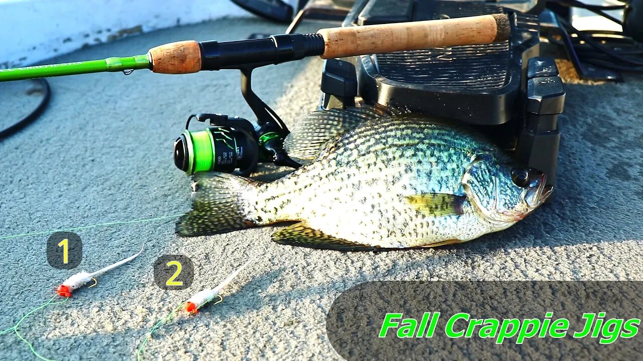 Perfect Fall Crappie Jig Rig (Double Jig Crappie Rig)