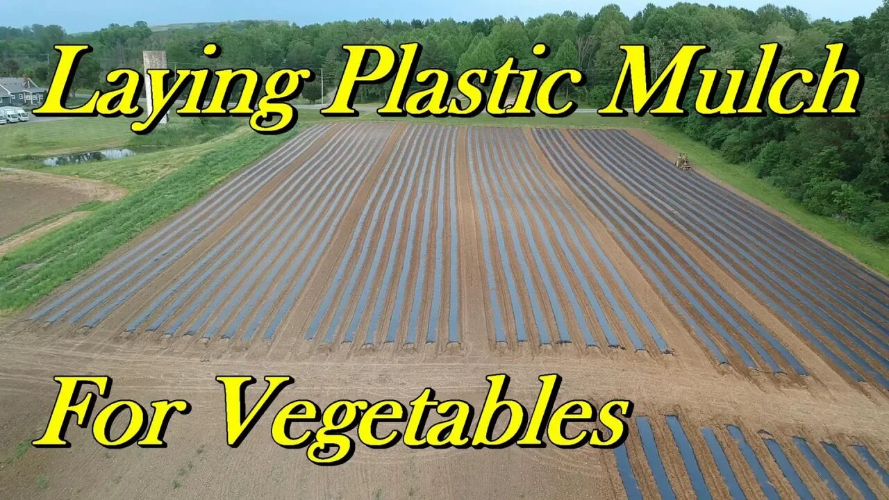 Long Days on the Farm | Disking, Laying Plastic, and Farmers’ Markets – Vlog 15