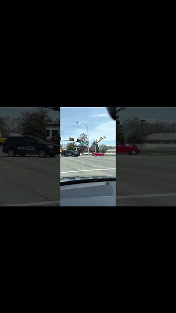 Utah: West Jordan police helps ducks cross the street.