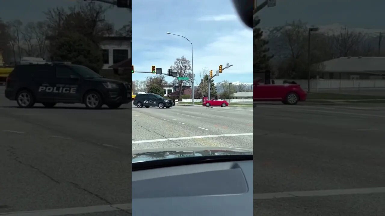 Utah: West Jordan police helps ducks cross the street.