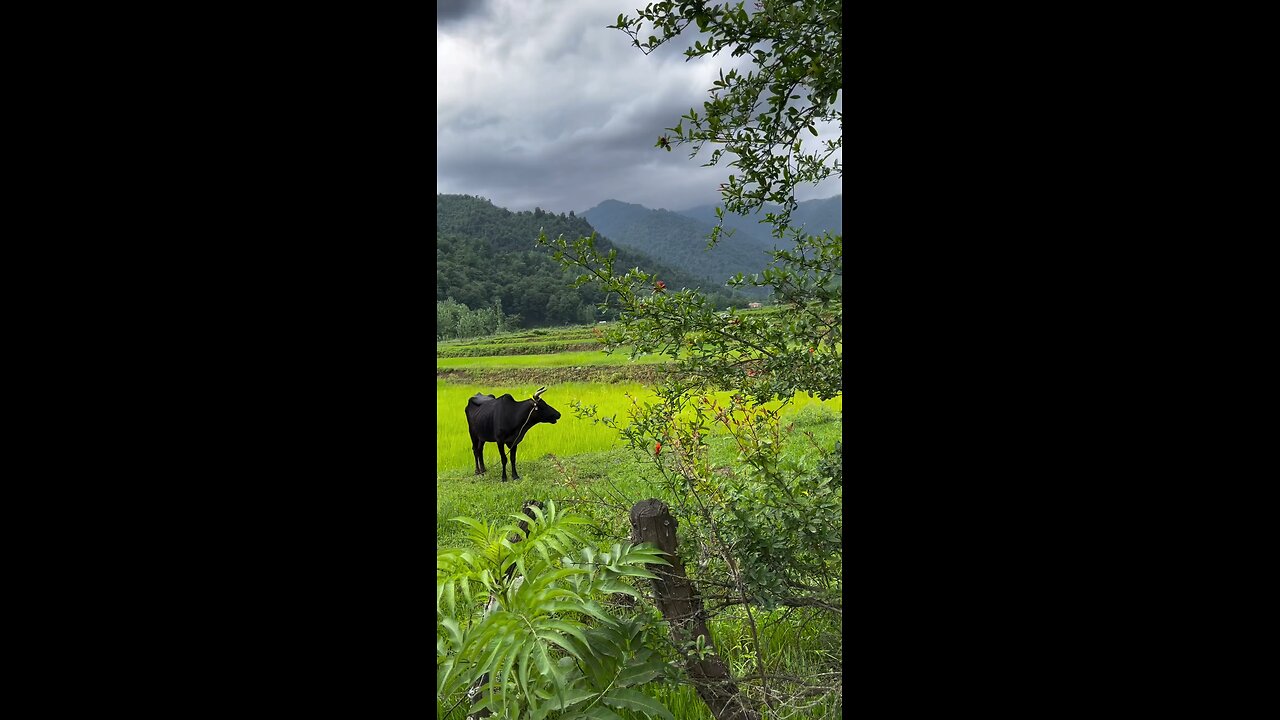 Natural Place Of Uk