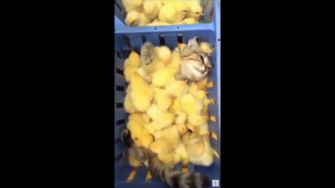 He doesn’t know how to feel