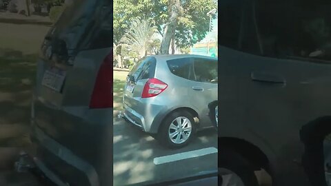 está acontecendo agora uma feira de adoção na praça do shopping em Valinhos SP