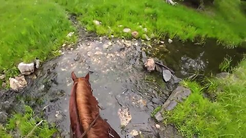 Cajun Horseman Lost in The Black Hills 😲🐴