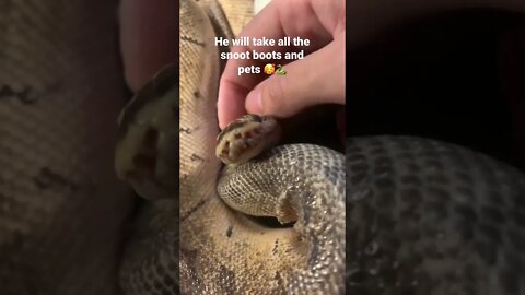 He loves attention 🥰