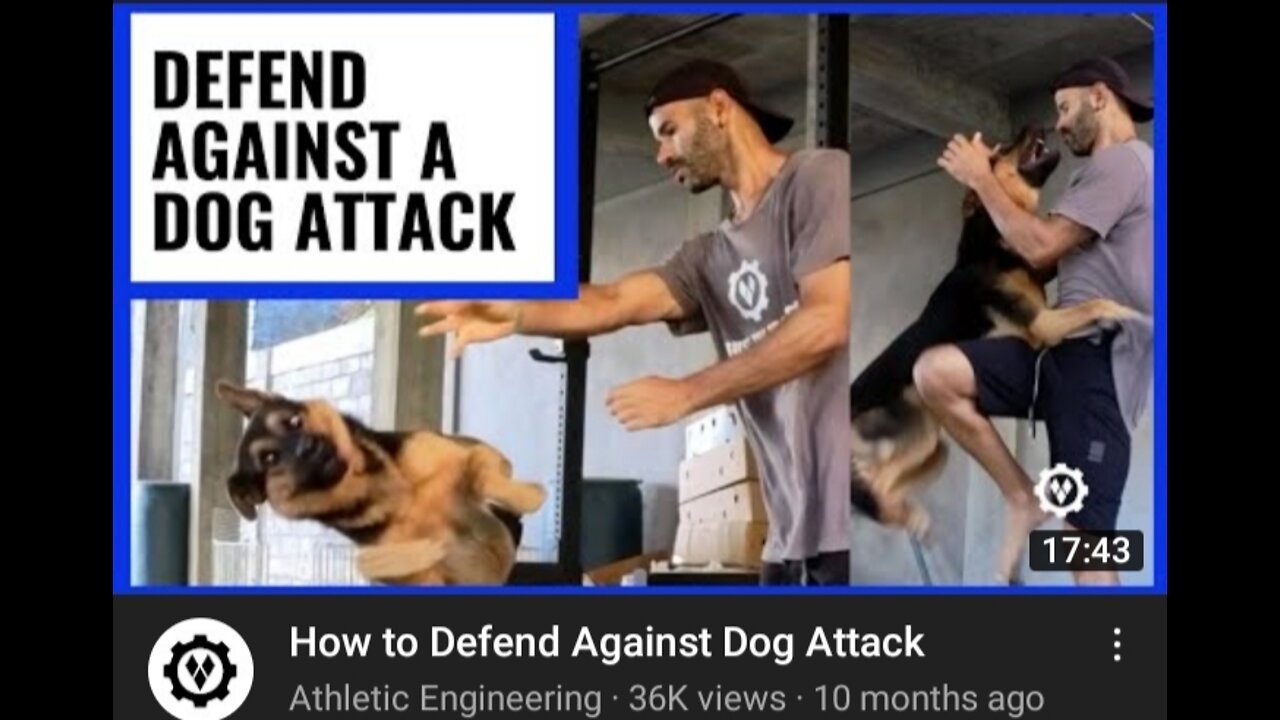 How to defend against a dog. Self defense against dog attack