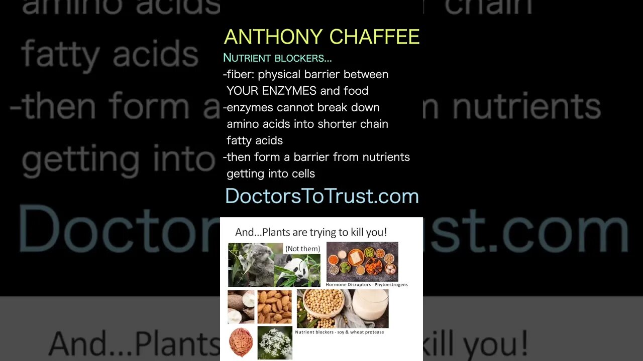 DR ANTHONY CHAFFEE Nutrient blockers, like fiber, keep your enzymes from breaking down protein