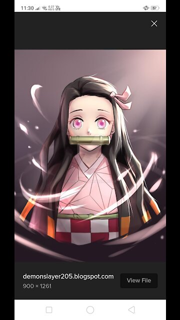 NEZUKO KAMADO