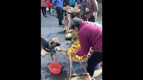 She needed this particular orange