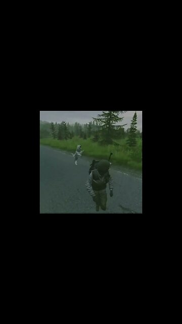 Dayz survival #101 run & climb