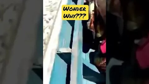 🚨THOUSANDS of Fish found…⁉️