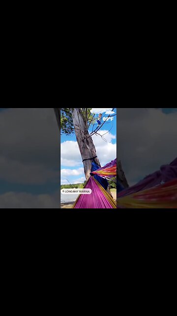 Escape Stress: Hammock Meditation: Serenity by the Waters