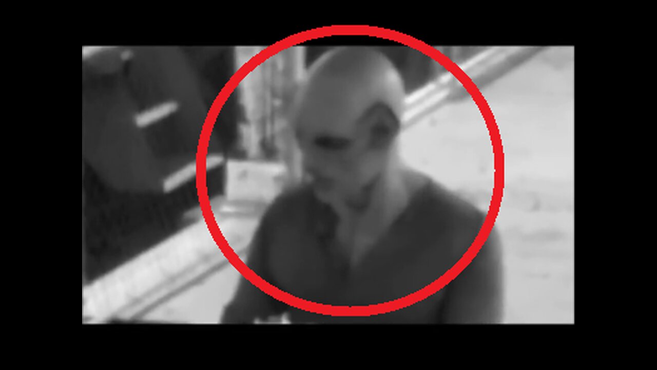 Aliens caught on camera? Reptilians caught on camera? What is it? Aliens and UFOs