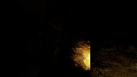 She Could See Me Even When Hiding