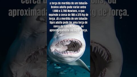 A mordida de um tubarao