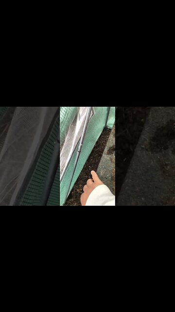 Another beautiful day in the neighborhood!