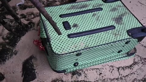 Pool company owner details finding suitcase with human remains