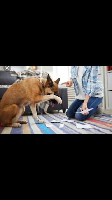 these my friends made the party