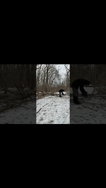 volunteer trail maintenance