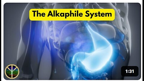 The Alkaphile Body System