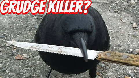 The Vengeful Crows!