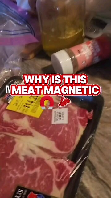 metal meat 🍖 magnetic Electric meat 🍖