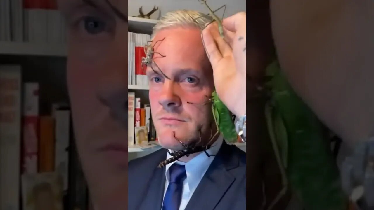 Putting bugs on your lawyers face OK no 