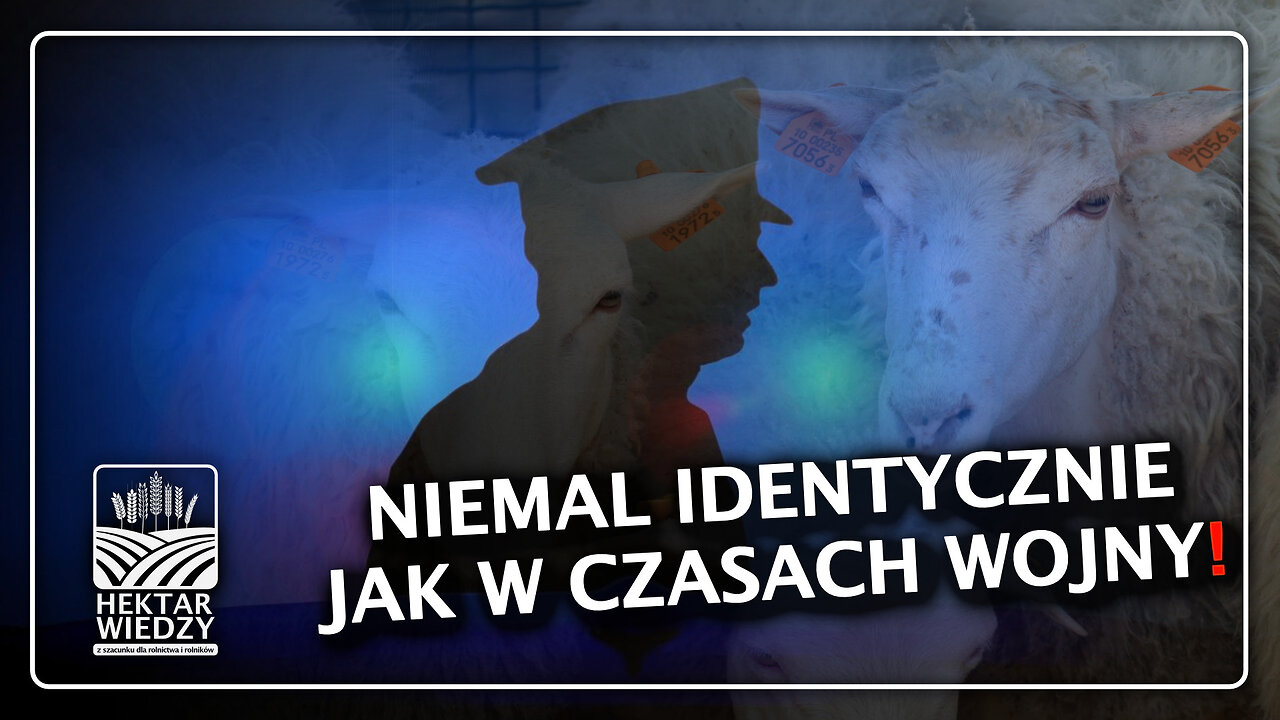 NIEMAL IDENTYCZNIE JAK W CZASACH WOJNY