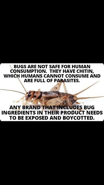 Eat ze Bugs 🐛 🐜 🐞 🕷