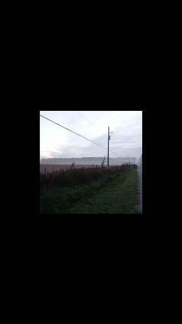 Taking in a view in the morning