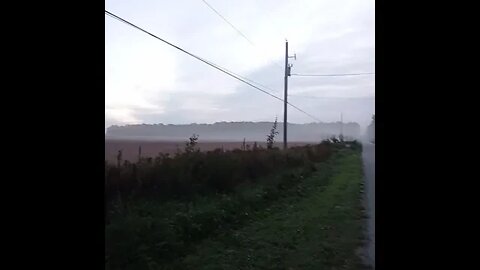 Taking in a view in the morning