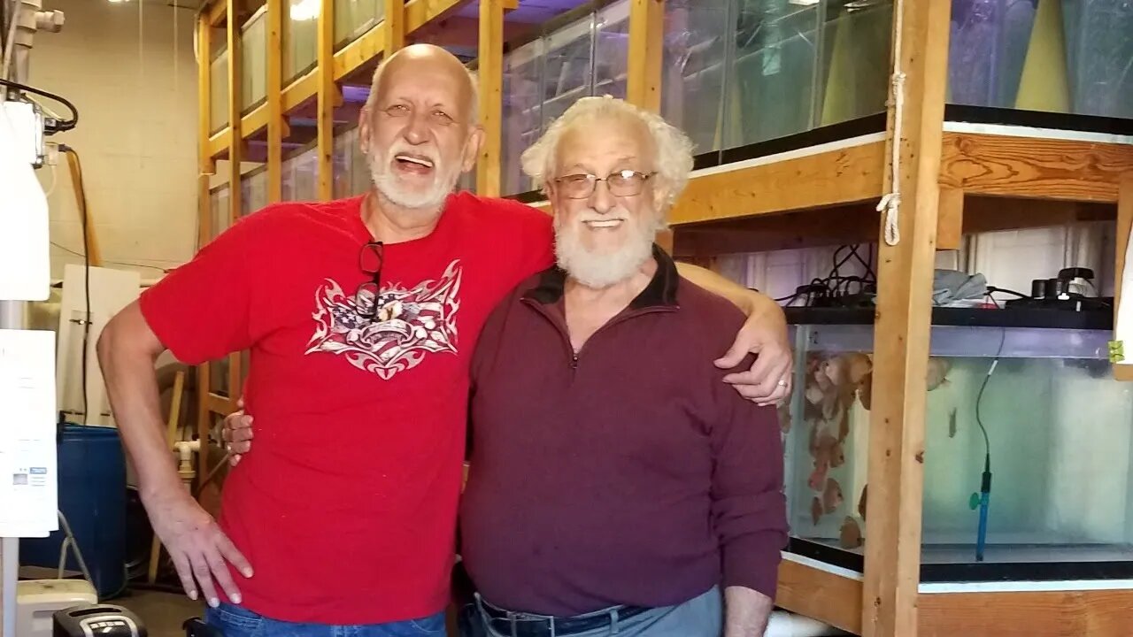 MASTER FISH BREEDER FORUM
