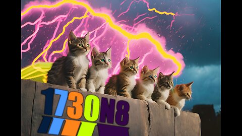 Storm of Kittens!!!