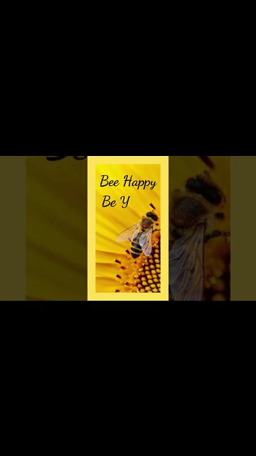 Bee Happy Be YOU!