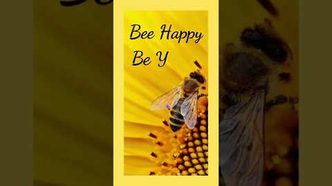 Bee Happy Be YOU!