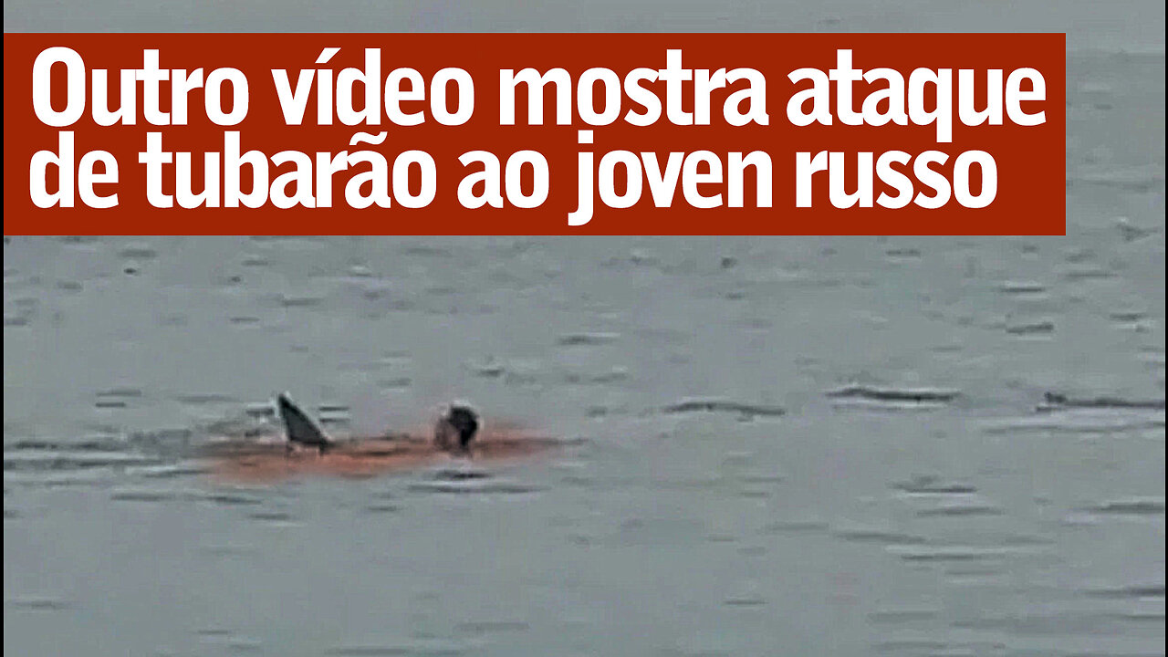 Novas imagens do ataque fatal de Tubarão no Egito | Fatal Shark Attack in Egypt | Jornalismo Verdade