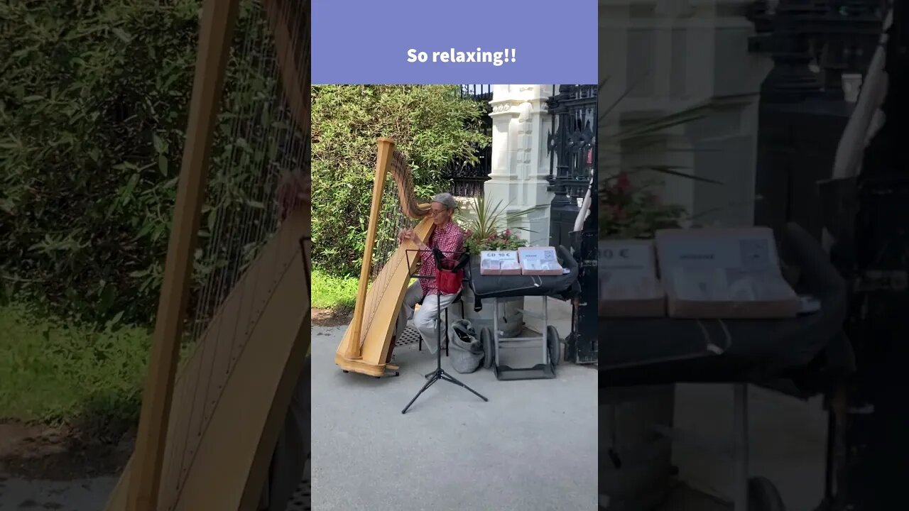 LIVE HARP CONCERT #vienna #volksgarten #shorts #harp #music