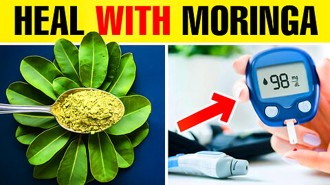 Moringa Leaf Powder Lowers Blood Sugar Levels by More Than 20_ - Earthluxe