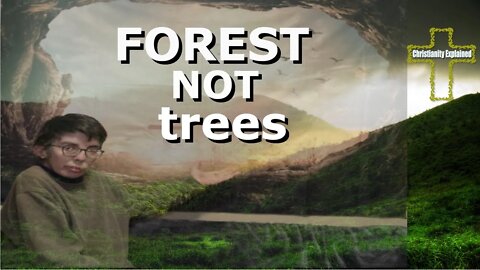 Get a BIGGER Picture and seeing the FOREST not the trees