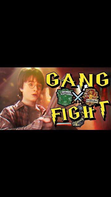 a Harry Potter Gang Fight 💖💚