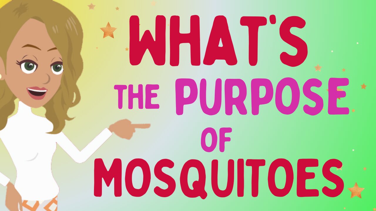 Abraham Hicks 2024 new - What's the purpose of mosquitoes 🙏Law of attraction